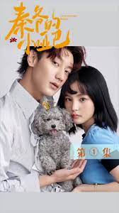 秦爷的小哑妻海报